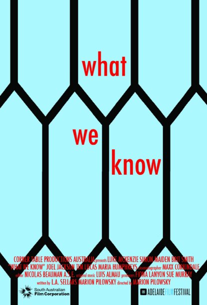 What We Know - Affiches