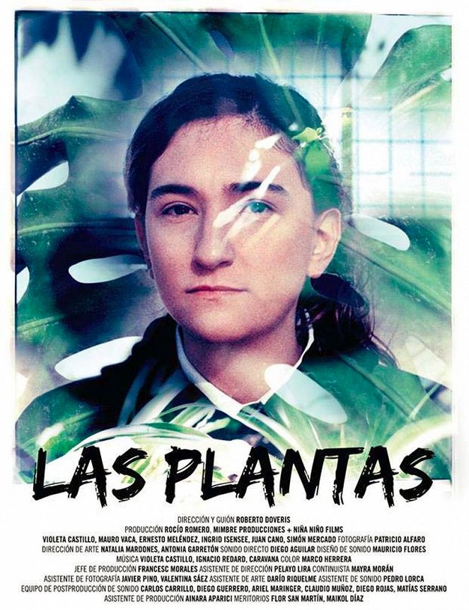 Las plantas - Plakaty