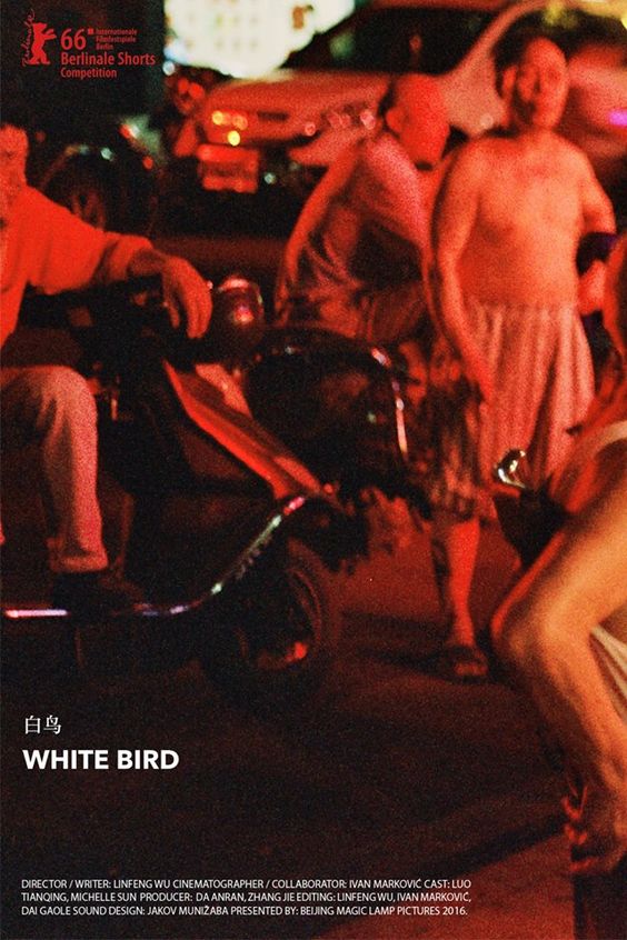 White Bird - Posters