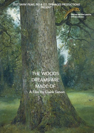 The Woods Dreams Are Made of - Posters