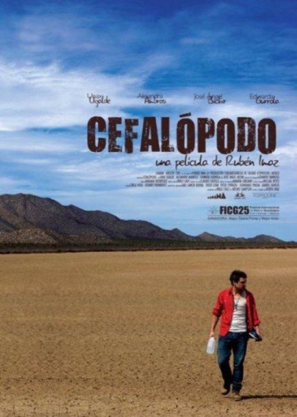 Cefalópodo - Posters