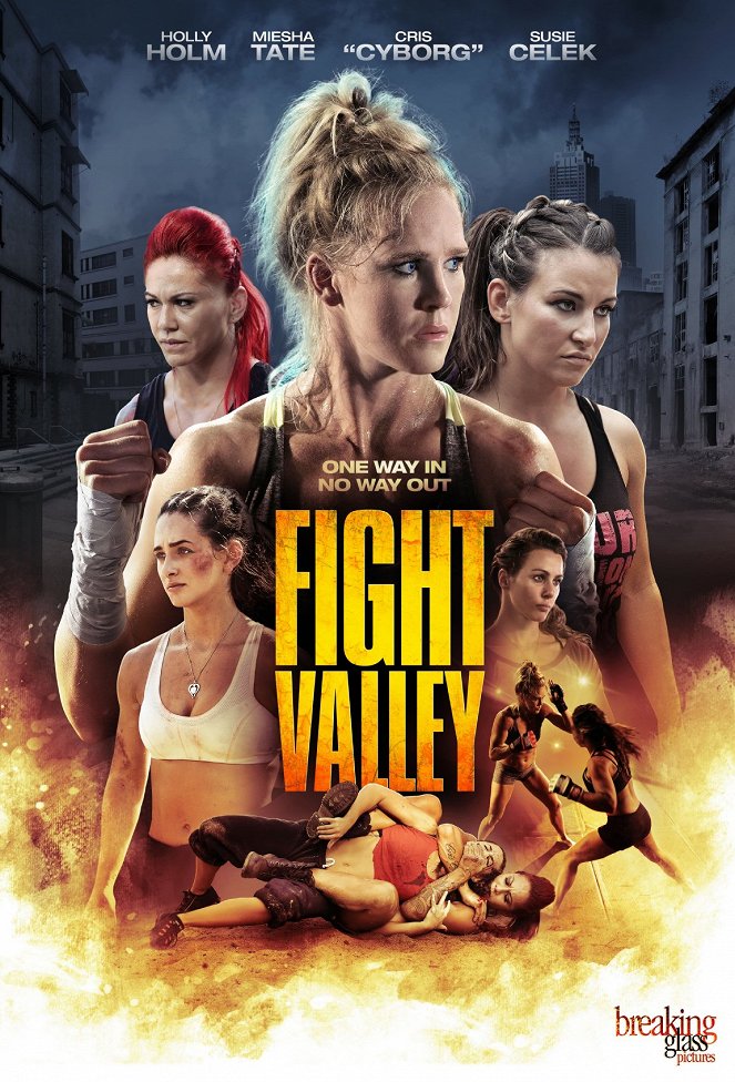 Fight Valley - Carteles