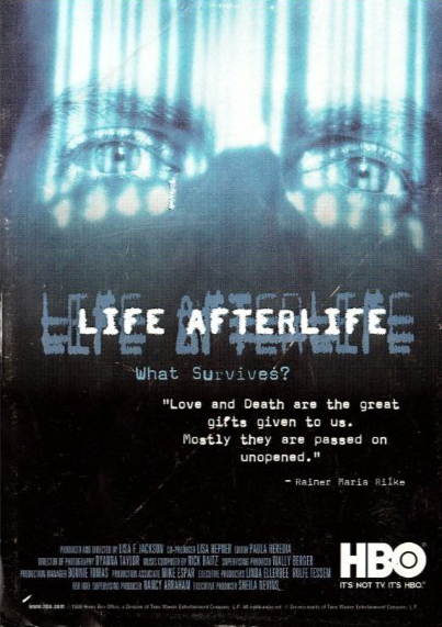 Life Afterlife: America Undercover - Cartazes
