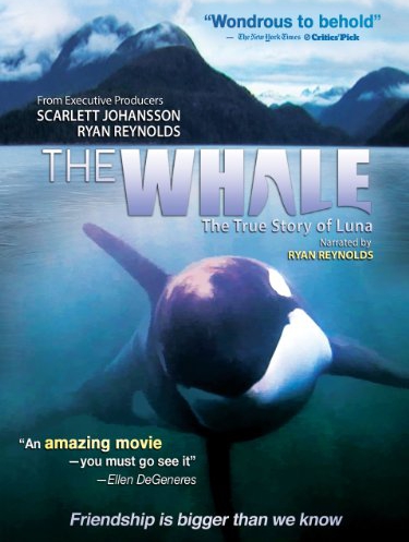 The Whale - Carteles