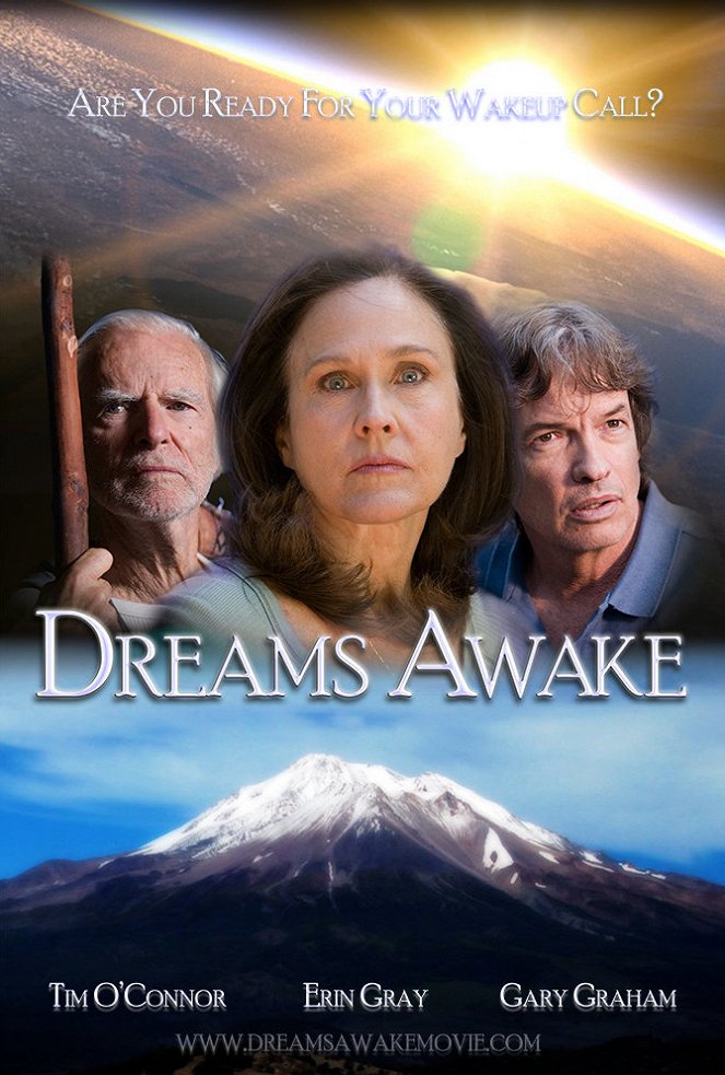 Dreams Awake - Cartazes