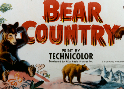 Bear Country - Carteles
