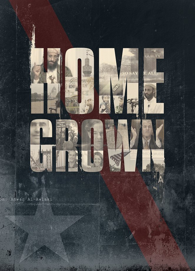 Homegrown: The Counter-Terror Dilemma - Affiches