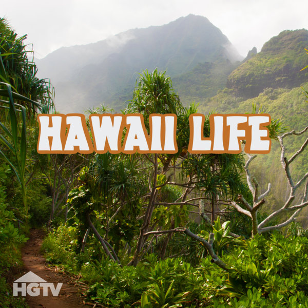Hawaii Life - Plakáty