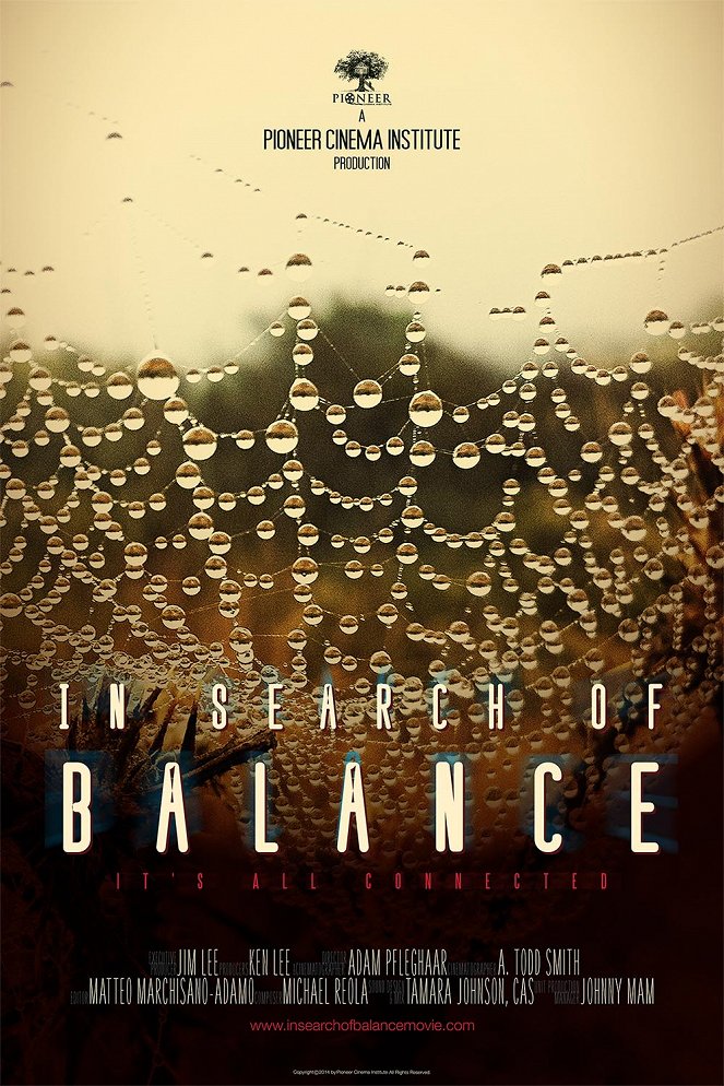 In Search of Balance - Carteles