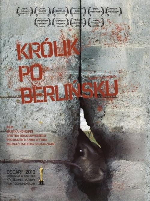 Králík po berlínsku - Plagáty