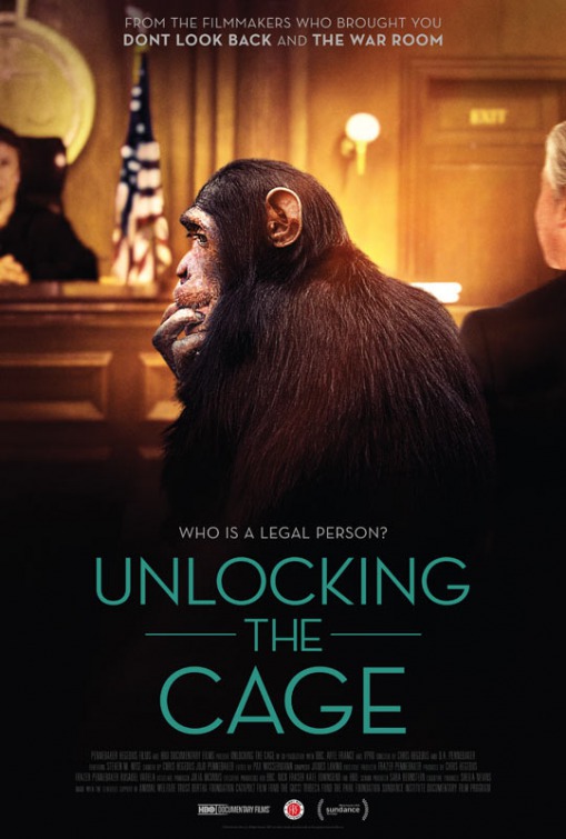Unlocking the Cage - Plakátok