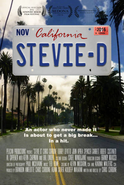 Stevie D - Posters