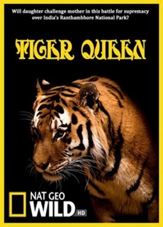 The Natural World - The Natural World - Queen of Tigers - Plakaty