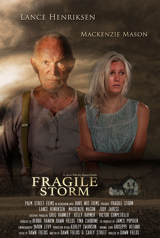 Fragile Storm - Plakaty
