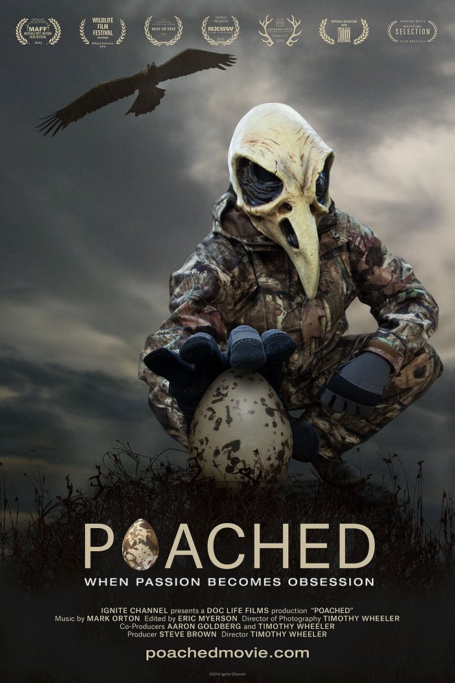 Poached - Plakate
