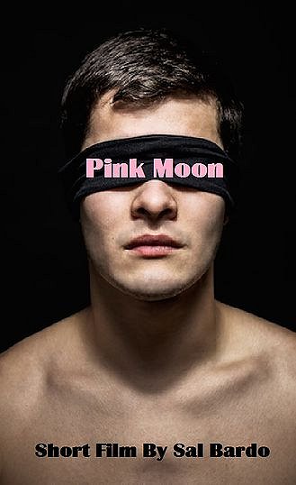 Pink Moon - Plakaty