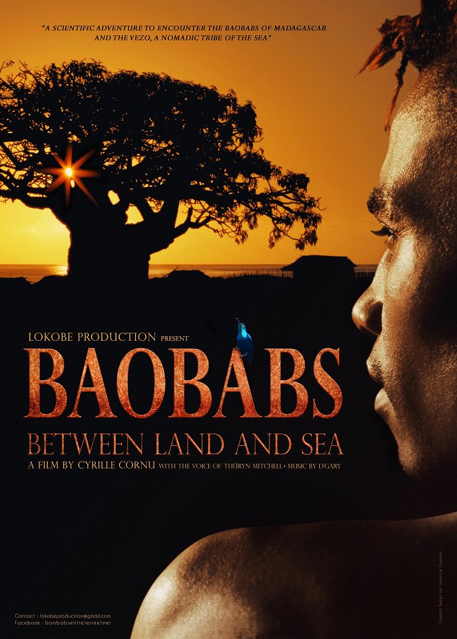 Baobabs Between Land and Sea - Plakaty