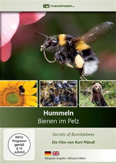 Universum: Hummeln - Bienen im Pelz - Carteles