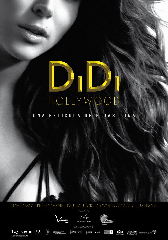 DiDi Hollywood - Plagáty
