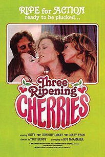 3 Ripening Cherries - Affiches