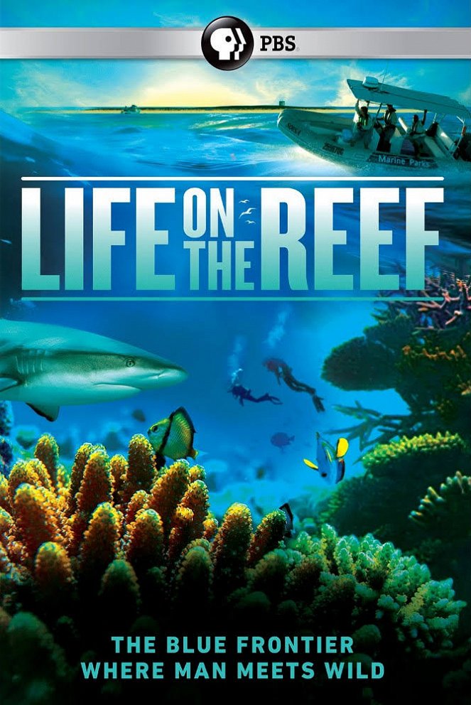 Life on the Reef - Affiches