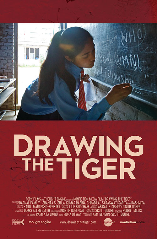 Drawing the Tiger - Carteles