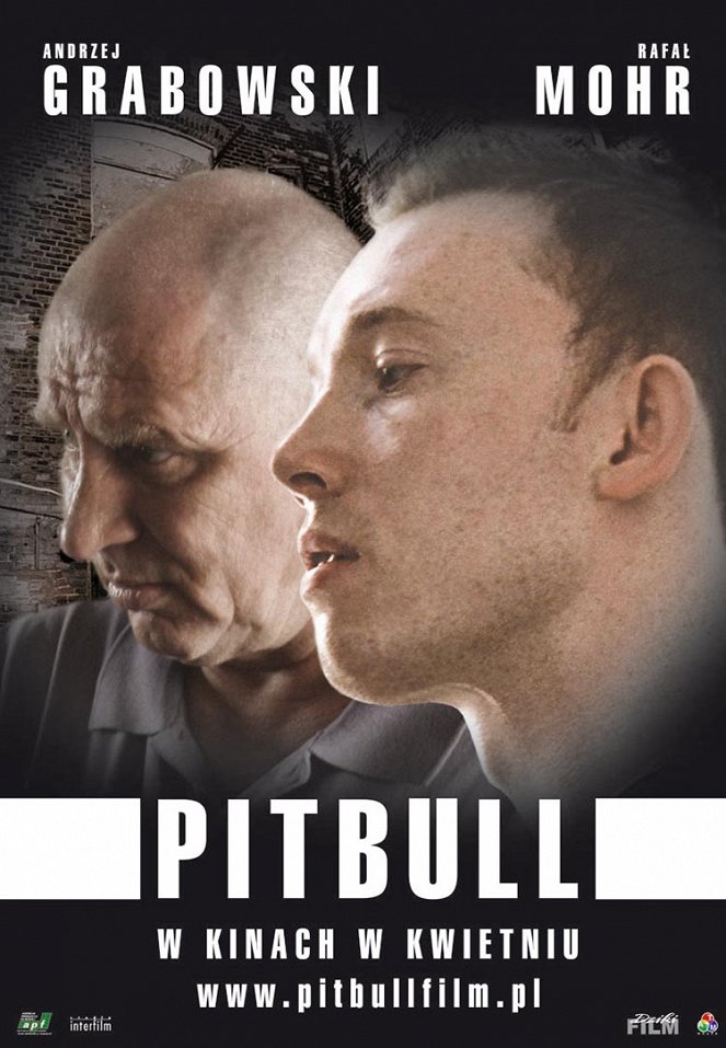Pitbull - Cartazes