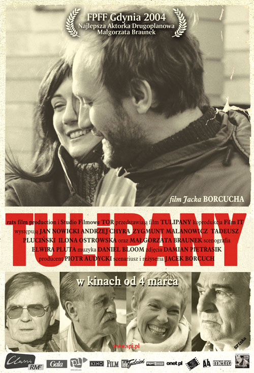 Tulipany - Plakátok