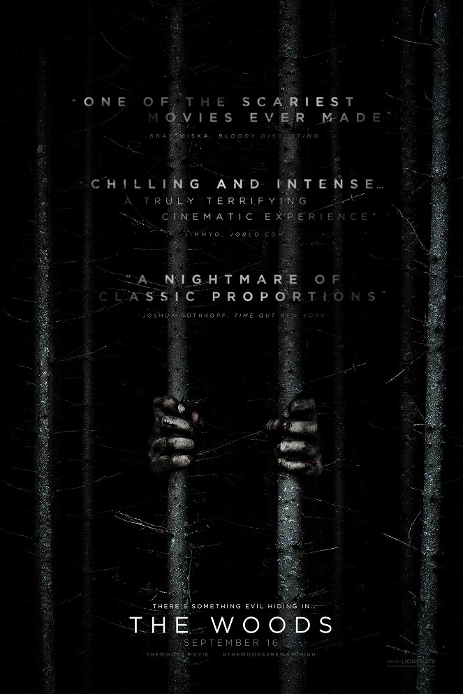 Blair Witch - Affiches