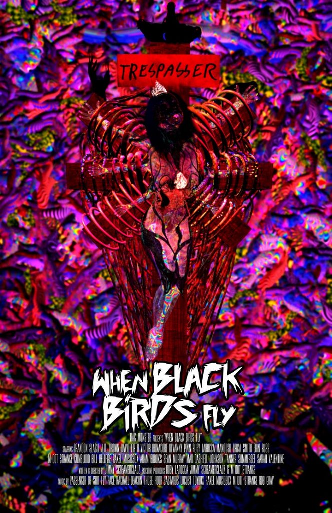When Black Birds Fly - Plakate
