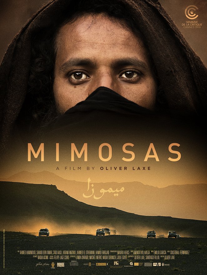 Mimosas - Plakate