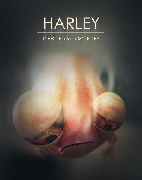 Harley - Plakátok