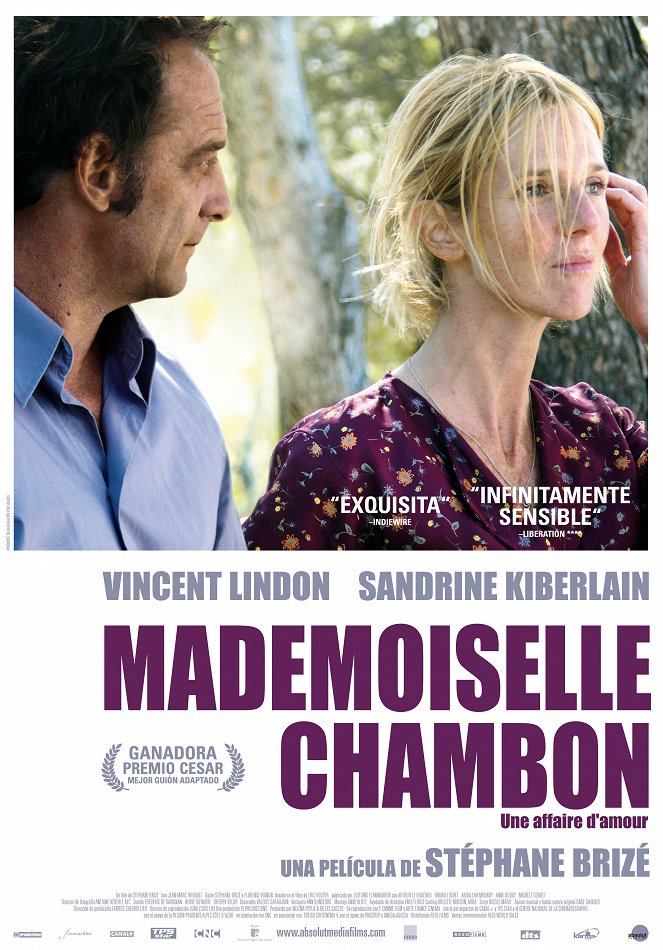 Mademoiselle Chambon - Carteles