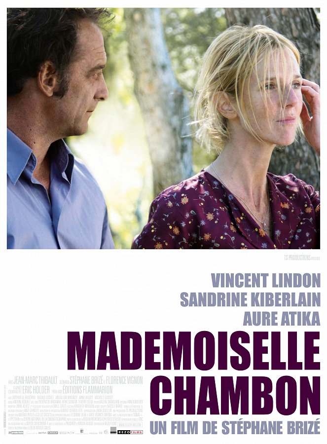 Mademoiselle Chambon - Affiches