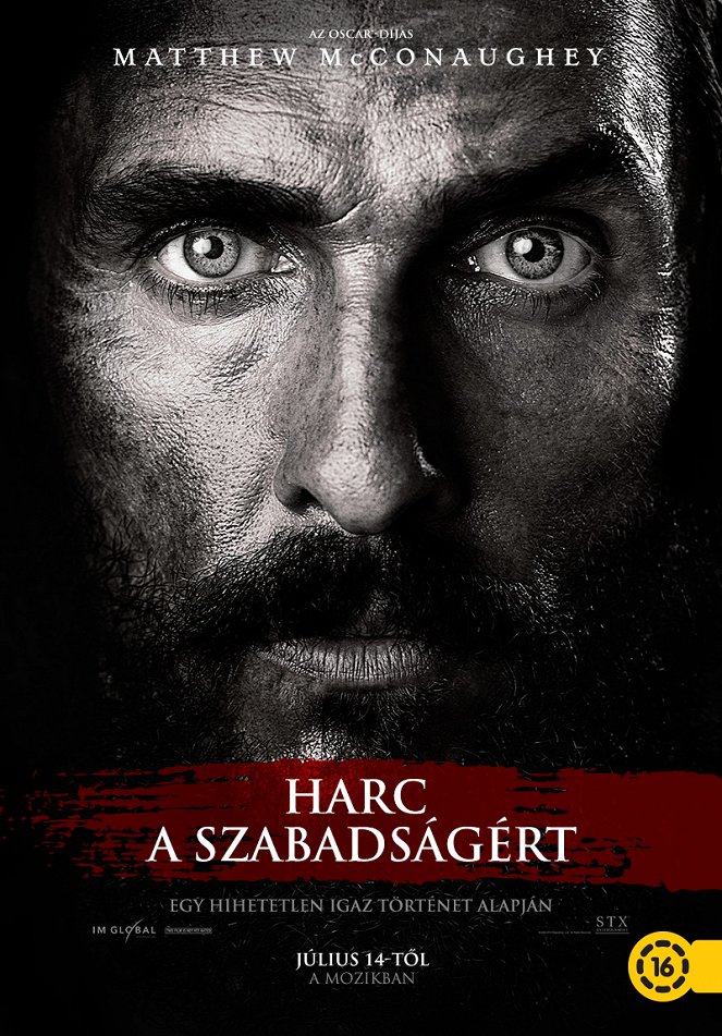 Harc a szabadságért - Plakátok