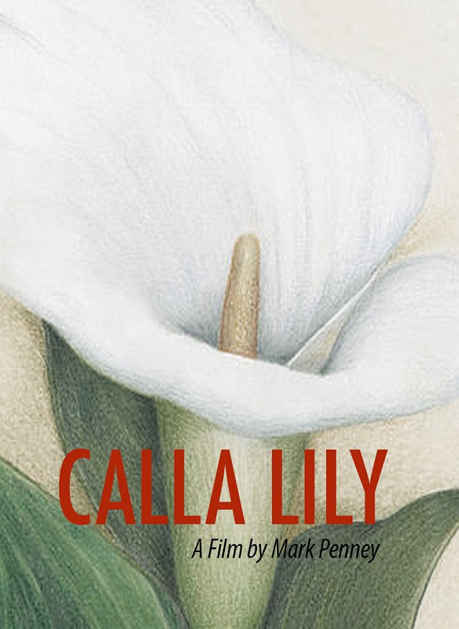 Calla Lily - Affiches