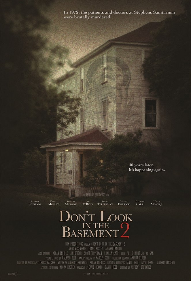 Don't Look in the Basement 2 - Plakate