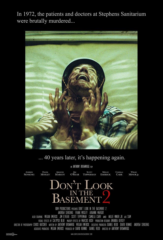 Don't Look in the Basement 2 - Plakate