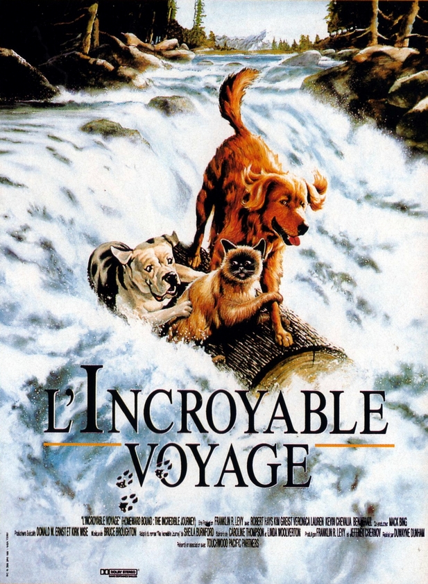 L'Incroyable Voyage - Affiches