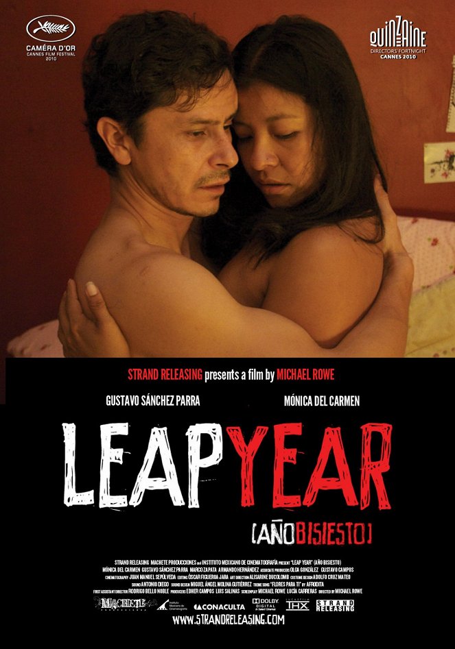 Leap Year - Posters