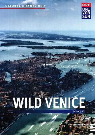 Wild Venice - Posters