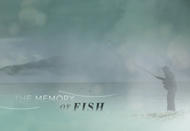 The Memory of Fish - Plakátok