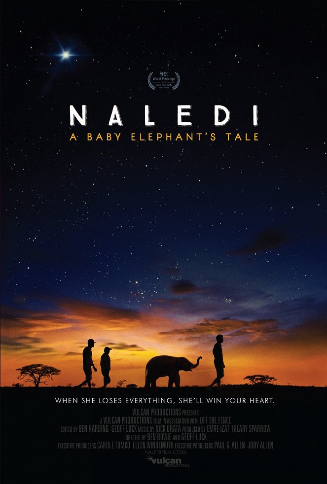 Naledi: A Baby Elephant's Tale - Carteles