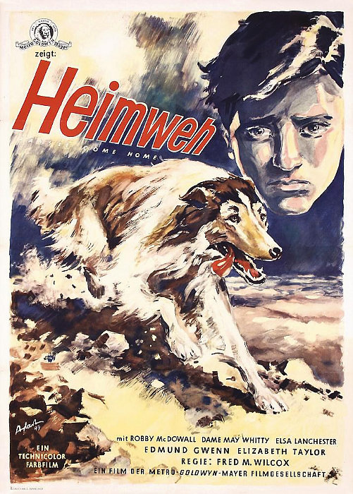Heimweh - Plakate