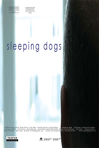 Sleeping Dogs - Posters