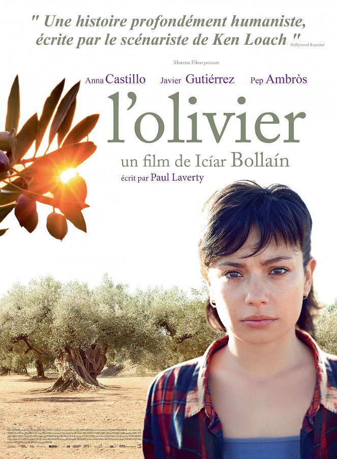 L'Olivier - Affiches