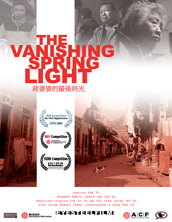 The Vanishing Spring Light - Affiches