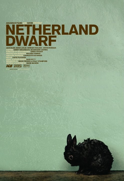 Netherland Dwarf - Affiches