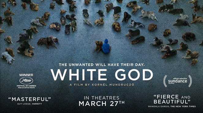 White God - Posters