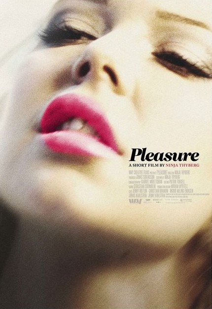 Pleasure - Julisteet